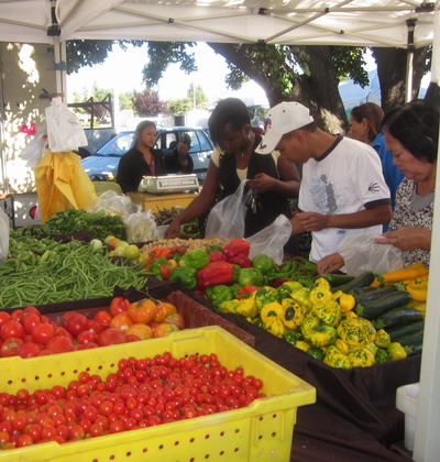 Farmers Market Picture